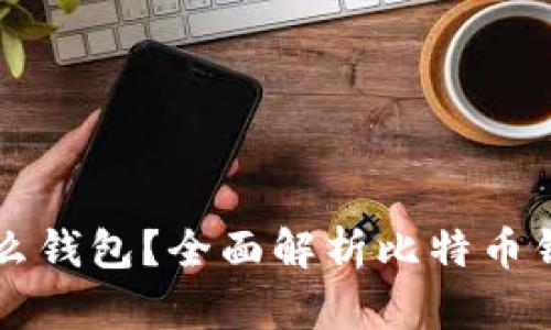 比特币提币用什么钱包?全面解析比特币钱包的选择与使用