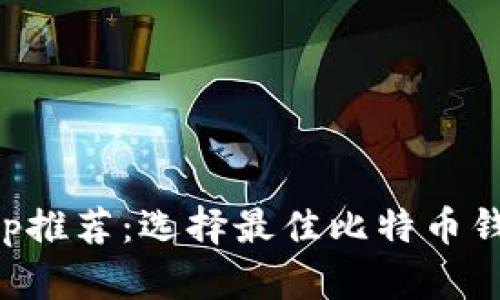 比特币钱包App推荐:选择最佳比特币钱包的详细指南