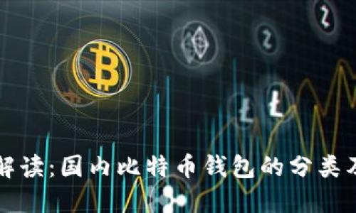 全面解读：国内比特币钱包的分类及特点