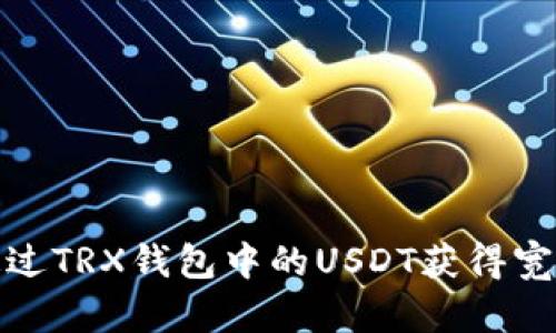 如何通过TRX钱包中的USDT获得宽带服务