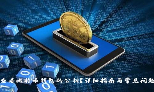 如何查看比特币钱包的公钥?详细指南与常见问题解答