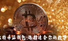 波场钱包与比特币派钱包:选择适合你的数字资