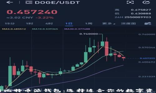 波场钱包与比特币派钱包:选择适合你的数字资产管理工具