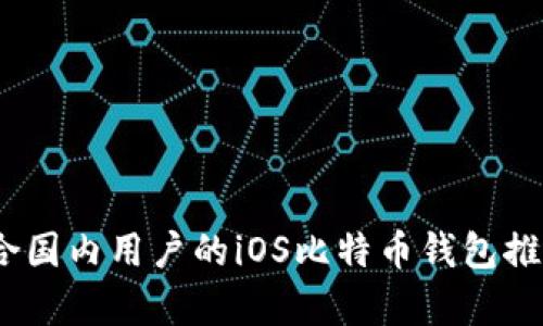 全面解析:适合国内用户的iOS比特币钱包推荐与使用指南