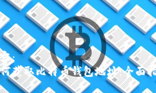 内容:
如何获取比特币钱包地址:全面指南