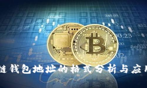 区块链钱包地址的格式分析与应用指南