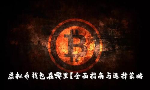 虚拟币钱包在哪里?全面指南与选择策略
