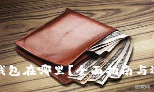 虚拟币钱包在哪里?全面指南与选择策略