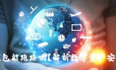 :区块链钱包能跑路吗?解析数字资产安全与风险