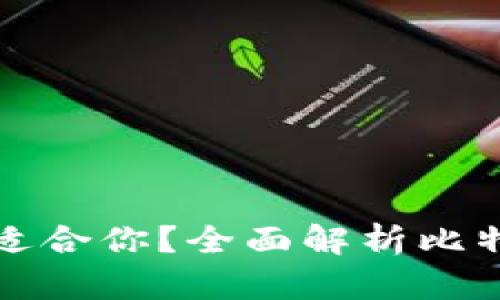 哪一种比特币钱包最适合你?全面解析比特币钱包的选择与使用