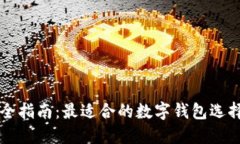 比特币购买全指南:最适合的数字钱包选择与使