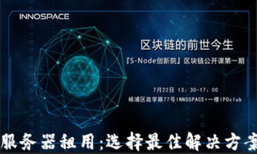 区块链钱包服务器租用:选择最佳解决方案的全面指南