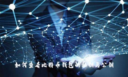 如何查看比特币钱包的私钥与公钥