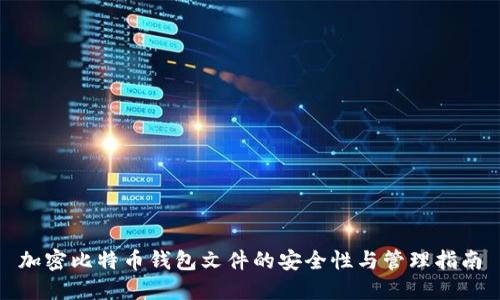 加密比特币钱包文件的安全性与管理指南