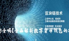 网上比特币钱包安全吗?全面解析数字货币钱包