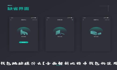 比特币钱包地址填什么?全面解析比特币钱包的使用与安全