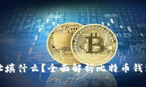 比特币钱包地址填什么?全面解析比特币钱包的使用与安全
