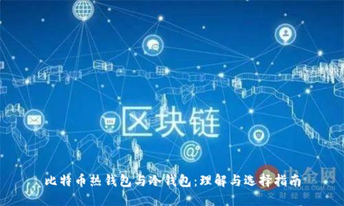 比特币热钱包与冷钱包:理解与选择指南