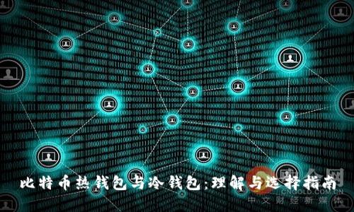 比特币热钱包与冷钱包:理解与选择指南