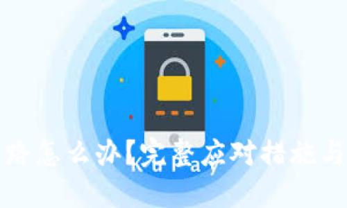 TP钱包跑路怎么办?完整应对措施与用户指南