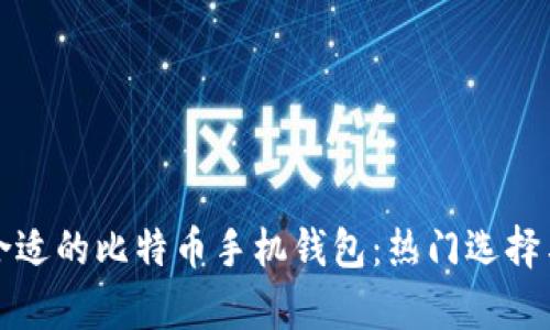 如何选择最合适的比特币手机钱包:热门选择与安全性分析