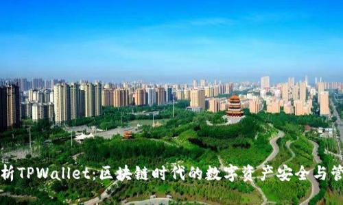全面解析TPWallet:区块链时代的数字资产安全与管理利器