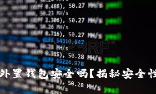 存虚拟币的外置钱包安全吗?揭秘安全性与使用技巧