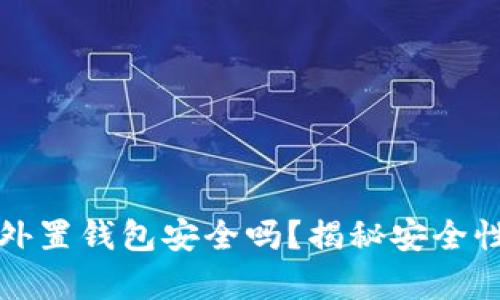 存虚拟币的外置钱包安全吗?揭秘安全性与使用技巧