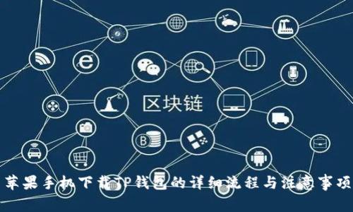 苹果手机下载TP钱包的详细流程与注意事项