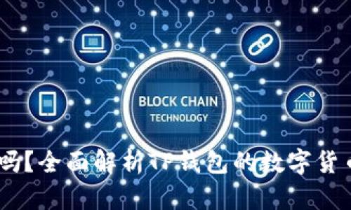 TP钱包支持USDT吗？全面解析TP钱包的数字货币支持与使用指南
