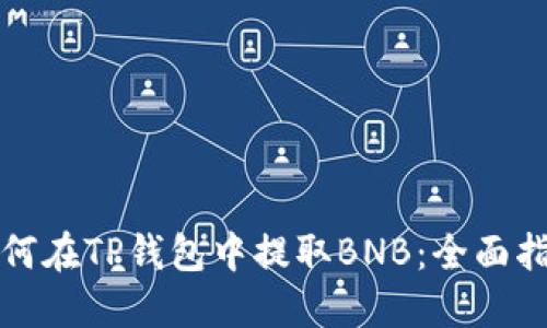 如何在TP钱包中提取BNB:全面指南