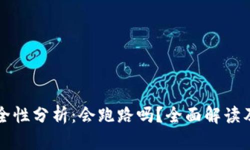 TP钱包安全性分析:会跑路吗?全面解读及风险提示