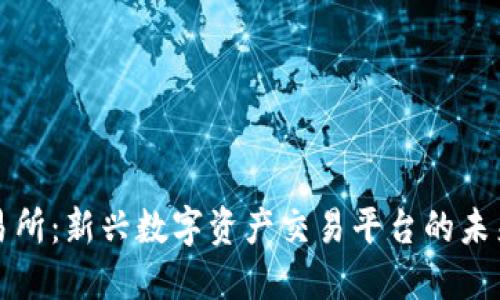 TP交易所:新兴数字资产交易平台的未来探索