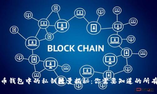 比特币钱包中的私钥数量揭秘:你需要知道的所有信息