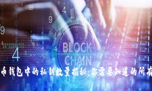 比特币钱包中的私钥数量揭秘:你需要知道的所有信息