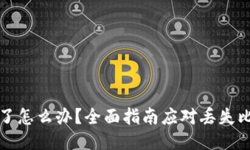 比特币钱包丢失了怎么办?全面指南应对丢失比特币钱包的挑战
