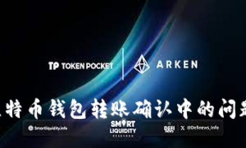 如何解决比特币钱包转账确认中的问题：全面指南