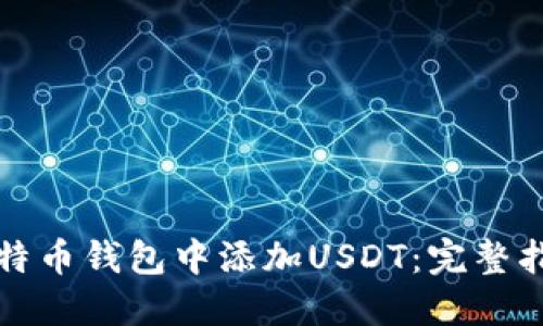 如何在比特币钱包中添加USDT:完整指南与技巧