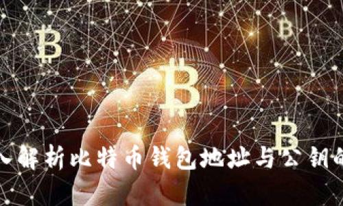 : 深入解析比特币钱包地址与公钥的关系