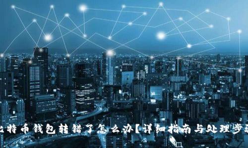 比特币钱包转错了怎么办？详细指南与处理步骤
