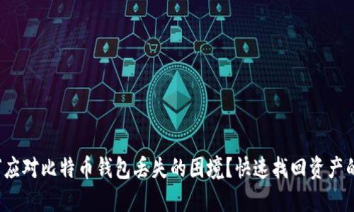如何应对比特币钱包丢失的困境?快速找回资产的方法