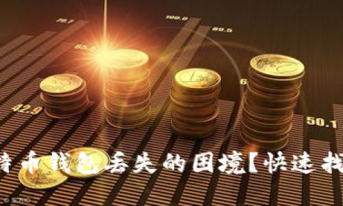 如何应对比特币钱包丢失的困境?快速找回资产的方法