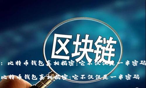 : 比特币钱包真相揭密：它不仅仅是一串密码

比特币钱包真相揭密：它不仅仅是一串密码