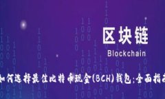 如何选择最佳比特币现金(BCH)钱包：全面指南