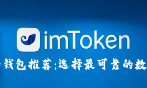 比特币最安全的钱包推荐：选择最可靠的数字资产存储工具