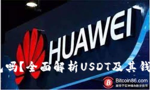 USDT是钱包吗？全面解析USDT及其钱包存储选项