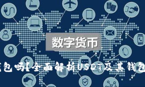 USDT是钱包吗？全面解析USDT及其钱包存储选项