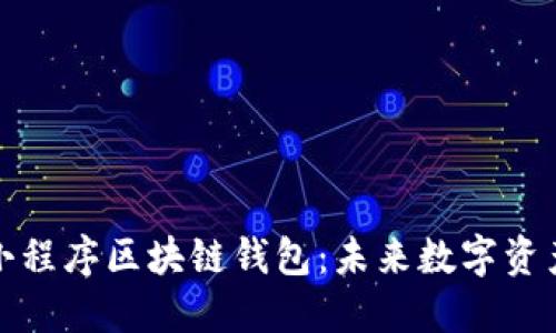 打造安全高效的小程序区块链钱包：未来数字资产管理的最佳选择