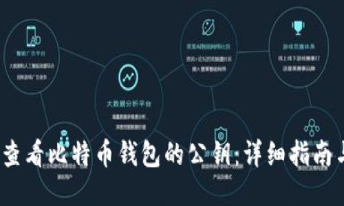  如何查看比特币钱包的公钥：详细指南与步骤
