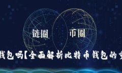 比特币需要钱包吗？全面解析比特币钱包的重要